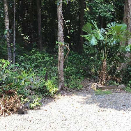 Forest Views Diwan 外观 照片