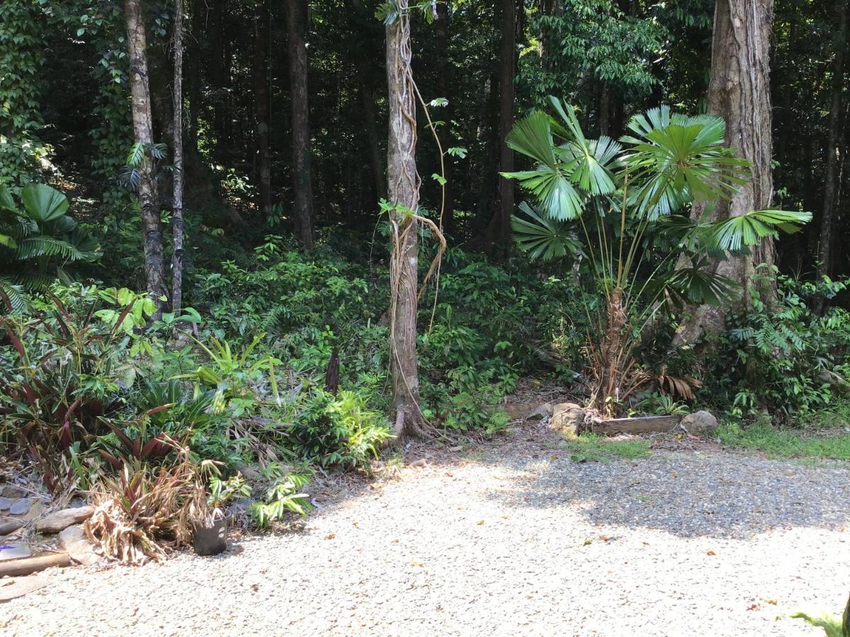 Forest Views Diwan 外观 照片